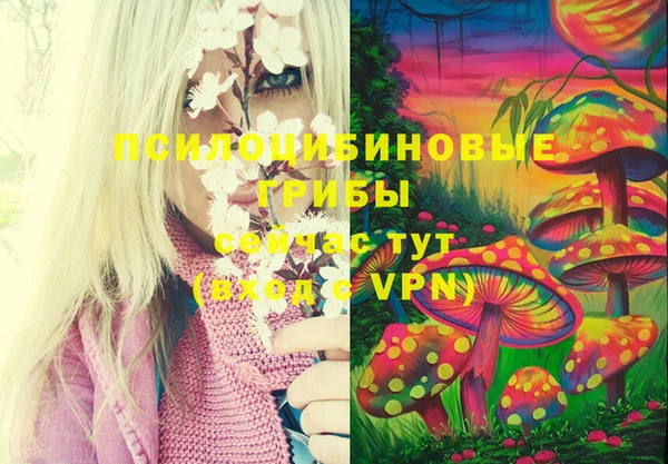 ПСИЛОЦИБИНОВЫЕ ГРИБЫ Баксан