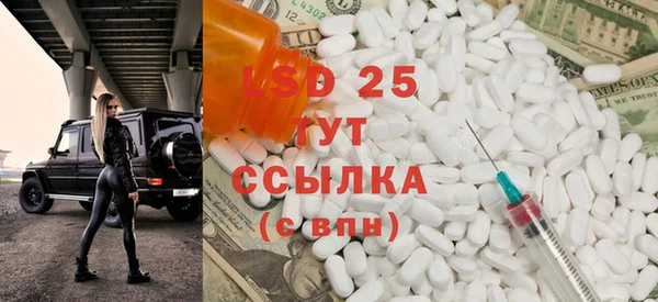 ПСИЛОЦИБИНОВЫЕ ГРИБЫ Баксан